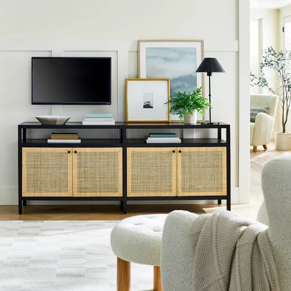 Springville Caned Door TV Stand - Threshold™ designed with Studio McGee