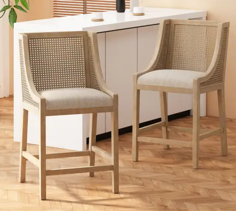 Cataldo Fabric Upholstered Wood and Cane Counter Stools (Set of 2)